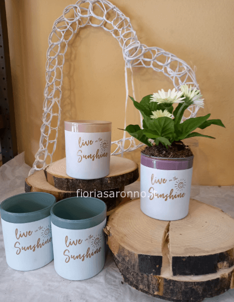 Vasetti originali con/senza piantina