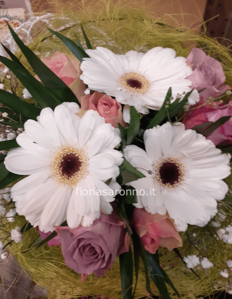 Abbonamento settimanale per un mese