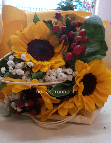 Abbonamento settimanale per 2 mesi